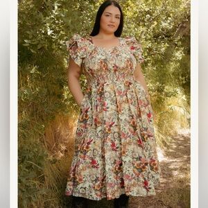 NWT Ivy city co Hattie dress 3x